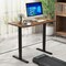 45.5 Inch Electric Height Adjustable Standing Desk with 2-Button Controller and Metal Frame